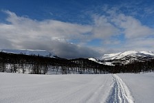 Dogsledding near Langfjordbotn