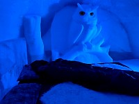 Snow owl room