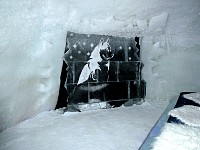 Husky ice scratching