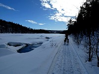 Dogsledding near open water on Karasjohka river