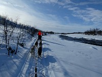 Dogsledding near open water on Karasjohka river