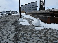 Concrete ptarmigans in Kiruna