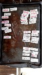 Team roster