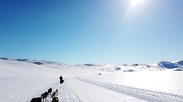 Sunny day in the mountains