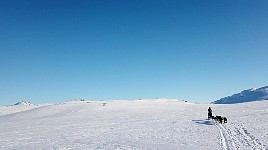 Sunny day in the mountains