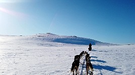 Almost back at hut