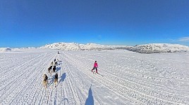 Meeting a skier on the trail