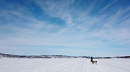 Lake dogsledding south of Mollisjok