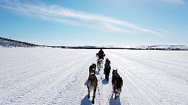 Lake dogsledding south of Mollisjok