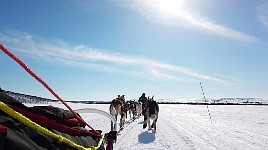 Lake dogsledding south of Mollisjok