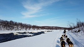 Dogsledding near open water on Karasjohka river - 2026