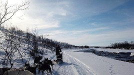 Dogsledding near open water on Karasjohka river - 2026