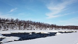 Dogsledding near open water on Karasjohka river - 2026