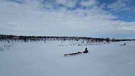 Back in Mollisjok
