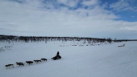 Back in Mollisjok