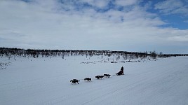 Back in Mollisjok