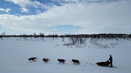 Back in Mollisjok