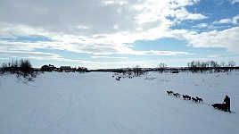 Back in Mollisjok