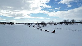 Back in Mollisjok