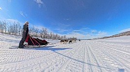 Dogsledding in fine weather towards Mollisjok