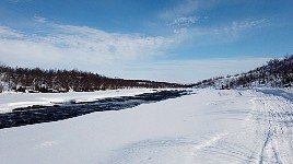 Dogsledding in fine weather towards Mollisjok