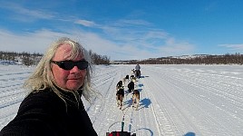 Dogsledding in fine weather towards Mollisjok