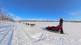 Dogsledding in fine weather towards Mollisjok