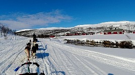 Jotka cabins