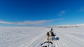 Meeting skiers on the trail