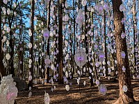 Nordic Pixel Forest by Pipilotti Rist