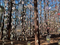 Nordic Pixel Forest by Pipilotti Rist