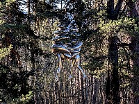 The Couple by Louise Bourgeois