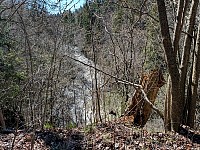 Lysakerelven river