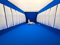 Exhibit My Private Sky in Oslo modern art museum