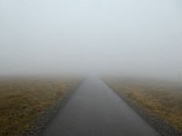 Foggy path up to Feldberg