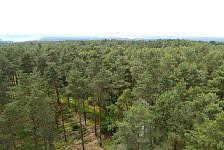 Heidehoehe Tower view