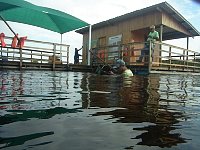 Dolphin feeding place