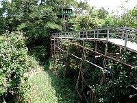 Tarzan walkway