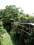 Tarzan walkway