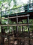 Tree house swimming pool