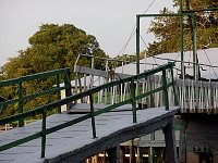 Monkey on bridge