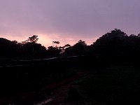 Amazon rainforest sunrise