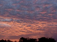 Amazon rainforest sunrise