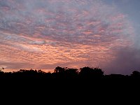 Amazon rainforest sunrise