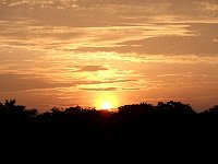 Amazon rainforest sunrise