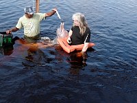 Together with Amazon pink river dolphins