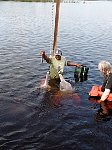 Together with Amazon pink river dolphins