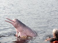 Me and Amazon river dolphin