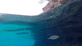 Small fishes near Agistri