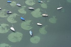 Anchored boats near Ermatingen